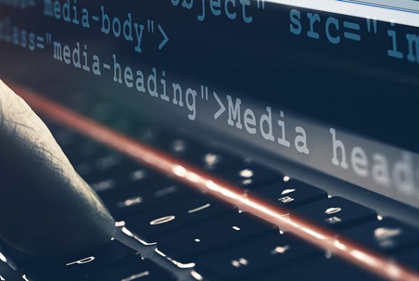 Stage Web Developer