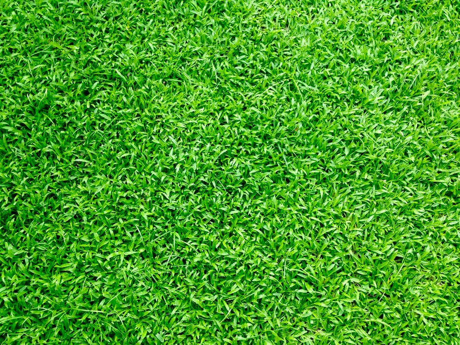 Matchez avec nos 5 idées de jeux autour de l’EURO 2024